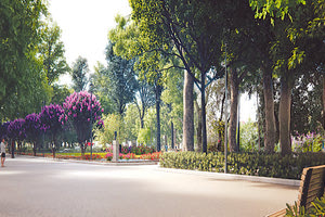 Η ΜΕΛΕΤΗ ΤΟΥ ΠΑΡΚΟΥ ΓΕΩΡΓΙΑΔΗ