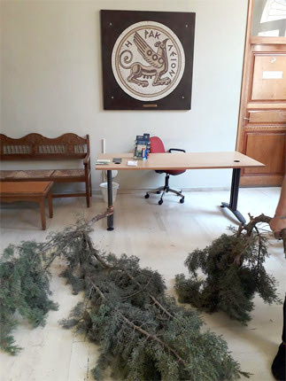 Σε ένδειξη διαμαρτυρίας και αγανάκτησης συλλέξανε τα σπασμένα κλαδιά του πλέον κατεστραμμένου δέντρου και τα μετέφεραν στο Δημαρχείο «αντί στεφάνου»