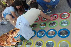 Άγρια ζώα του ΜΦΙΚ στο Talos Plaza