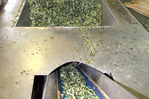 ΕΛΑΙΟΤΡΙΒΕΙΟ ΡΙΧΝΕΙ ΕΛΙΕΣ