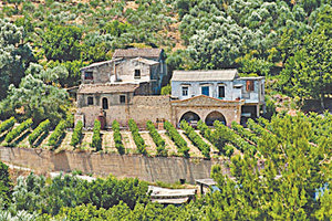 Τις πόρτες τους ανοίγουν τα οινοποιεία