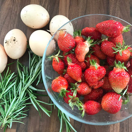 Φρέσκα αυγά, αρωματικές φράουλες, δενδρολίβανο,