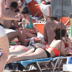 Δείτε όλα τα άρθρα από το χρήστη Εμμανουήλ Λέκκας