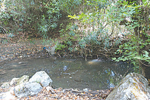 Μαύρα νερά τρέχουν μέσα στο ποτάμι στο φαράγγι του Βενεράτου.