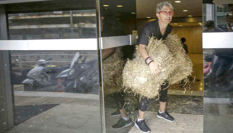 ΑΝΕΛ: Τους πέταξαν σανό!