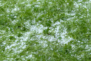 χαλαζόπτωση