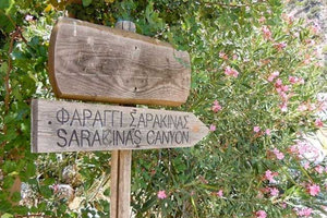 στο φαράγγι της Σαρακίνας