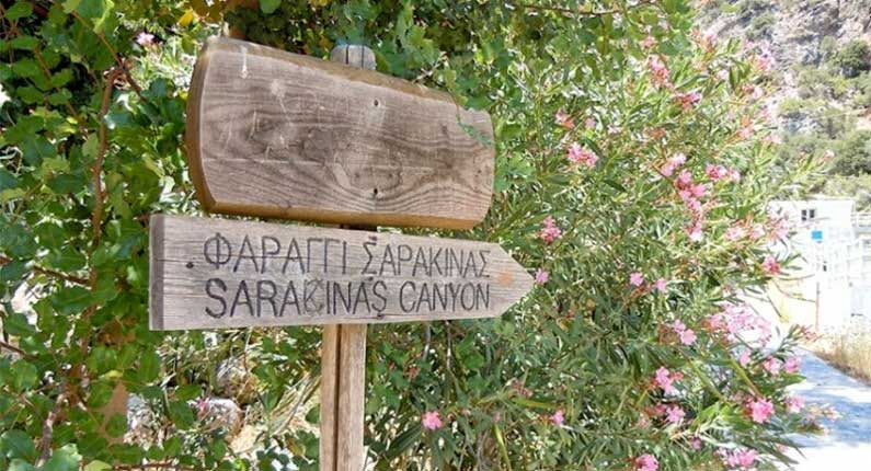 στο φαράγγι της Σαρακίνας