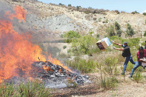 ΚΑΥΣΗ ΝΑΡΚΩΤΙΚΩΝ: Οι ποσότητες που παραδόθηκαν στην πυρά αφορούσαν 275 υποθέσεις.