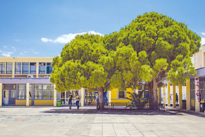 Τεχνολογικο Εκπαιδευτικο Ιδρύμα (ΤΕΙ) Κρήτης