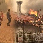 Δείτε όλα τα άρθρα από το χρήστη Ελένη Μανιωράκη