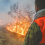 Δείτε όλα τα άρθρα από το χρήστη Μανόλης Κομπολάκης