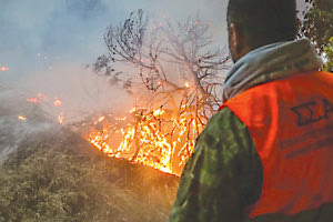 Πυρκαγιά - Πολιτική Προστασία