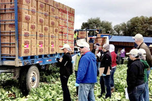 ομάδες παραγωγών