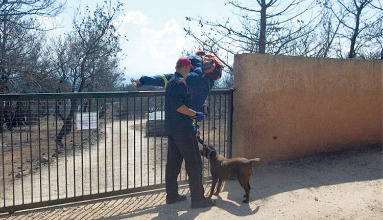 Ταμπελάκι που απαγορεύει την είσοδο σε όλους βρήκαν οι πυροσβέστες στο οικόπεδο που βρέθηκαν απανθρακωμένοι οι σοροί 28 ανθρώπων, που δεν μπόρεσαν να ξεφύγουν από τη φονική πυρκαγιά.