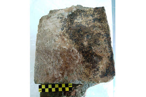 ΟΛΥΜΠΙΑ: Στο φως εγχάρακτη επιγραφή που διασώζει 13 στίχους της Οδύσσειας