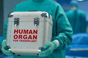 μεταμοσχευση-οργανων