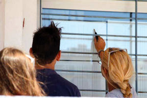 ΠΑΝΕΛΛΑΔΙΚΕΣ: Και τα ΕΠΑΛ έχουν επιτυχίες