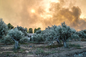 Κόλαση φωτιάς στην κεντρική Εύβοια με τις πυροσβεστικές δυνάμεις να προχωρούν στην εκκένωση δύο οικισμών
