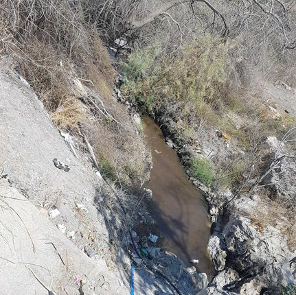 Πολλές οι εστίες ρύπανσης στον Καρτερό!