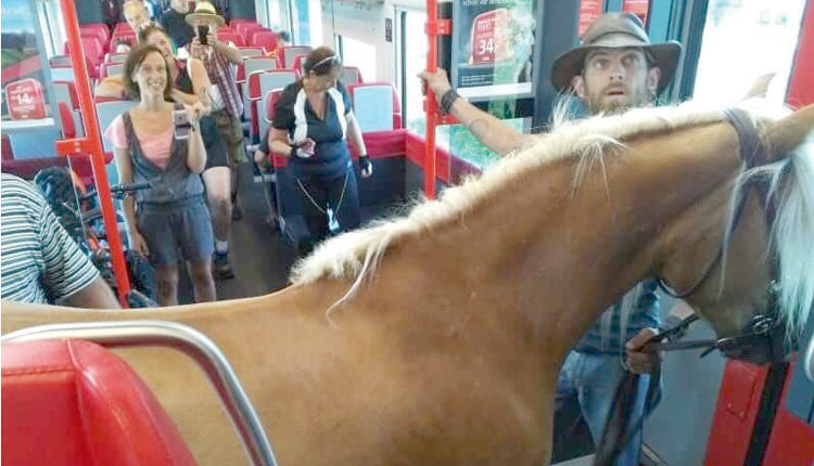 Νεαρός άνδρας αποφάσισε να πάρει σήμερα το τρένο στην Αυστρία συνοδευόμενος από ένα… άλογο,