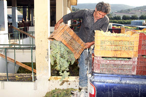 οινοστάφυλα