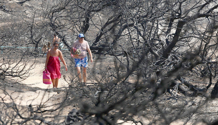Και η ζωή συνεχίζεται με… μπάνιο και ηλιοθεραπεία στα καμένα