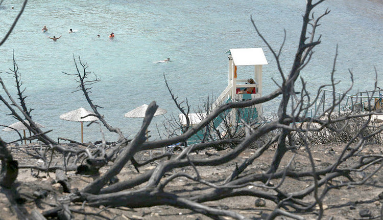Και η ζωή συνεχίζεται με… μπάνιο και ηλιοθεραπεία στα καμένα