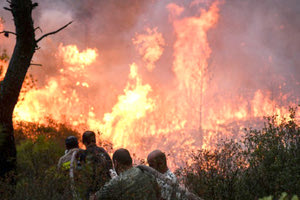 πυρκαγιές