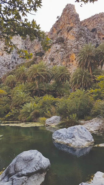 Πρέβελη: Στη μαγεία του φοινικόδασους, του ποταμιού και της λίμνης