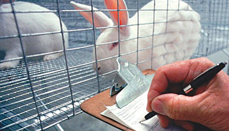 πειραματόζωα