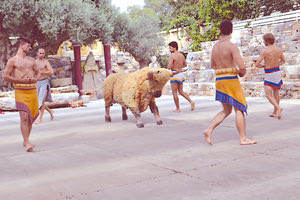 Τα «Ταυροκαθάψια» αναβιώνουν