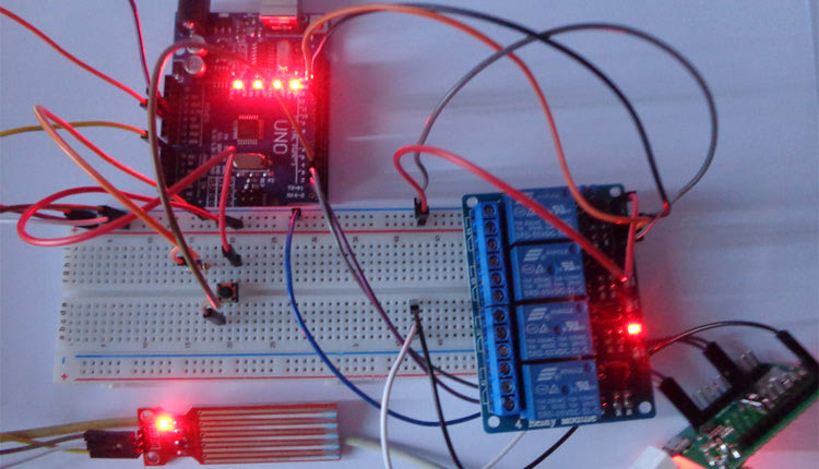 Έφτιαξαν... έξυπνο κοτέτσι οι μαθητές από την Αγ. Βαρβάρα!