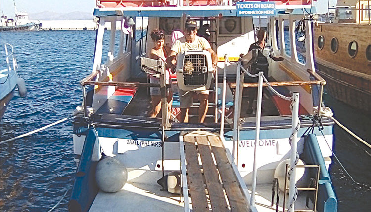 Βρήκαν στα νερά τον γύπα και τον περιέθαλψαν