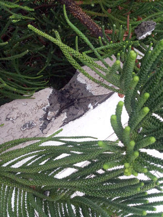 Ο δυνατός κεραυνός έσπασε ένα κομμάτι μπετόν από αυλή σπιτιού στη Χερσόνησο 