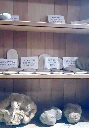 Καφενείο του Μανώλη  Δαμιανάκη  στον Πανασό: Αυτός  και ο αδερφός του, Αστρινός, έχουν αφιερώσει όλη τους τη ζωή στη διάσωση και προβολή του κοραλλιογενούς υφάλου του Πανασού. 