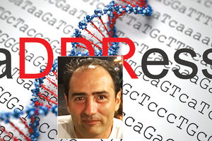 Ο Γ. Γαρίνης επικεφαλής σε 2 ερευνητικά προγράμματα για τον καρκίνο