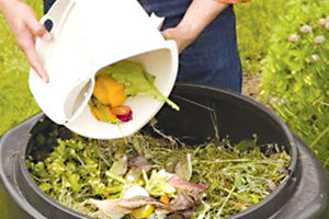 ΚΟΜΠΟΣΤΟΠΟΙΗΤΕΣ ΓΕΙΤΟΝΙΑΣ