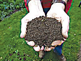 κομποστοποιηση