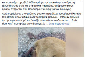 ΧΑΝΙΑ: Επικήρυξαν τον δολοφόνο της εγκύου σκυλίτσας