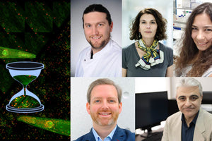 Εντυπωσιακή έρευνα των επιστημόνων για τη γήρανση από το ΙΤΕ