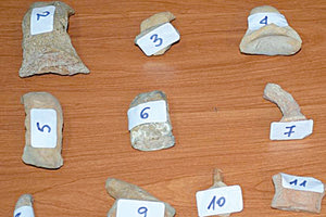 Η σπείρα αρχαιοκάπηλων