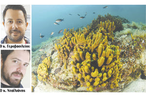 SOS ΑΠΟ ΤΟ ΕΛΚΕΘΕ: Καταφέραμε να εξαφανίσουμε και τα... σφουγγάρια