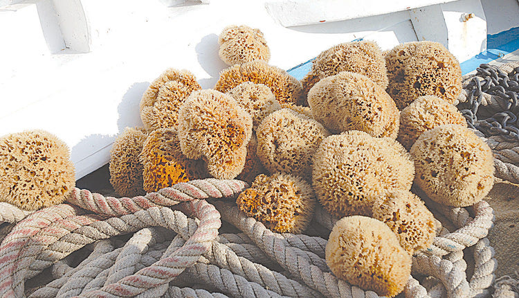 Τα εμπορικά σφουγγάρια μπάνιου