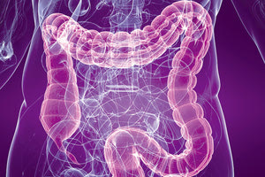 ΝΟΣΗΜΑΤΑ ΤΟΥ ΕΝΤΕΡΟΥ