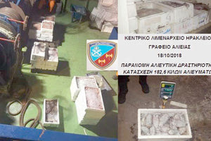 Σε πλειοδοτικό διαγωνισμό 180 κιλά παράνομα αλιεύματα