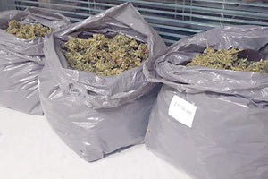 52χρονος συνελήφθη να μεταφέρει τρία κιλά κάνναβης.