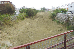 αντιπλημμυρικά έργα σε τρεις Βαγιές, Γιόφυρο