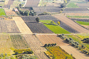 Δημοτικά Διαμερίσματα του Δήμου Μινώα Πεδιάδος.