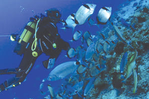 καταδυτικό πάρκο